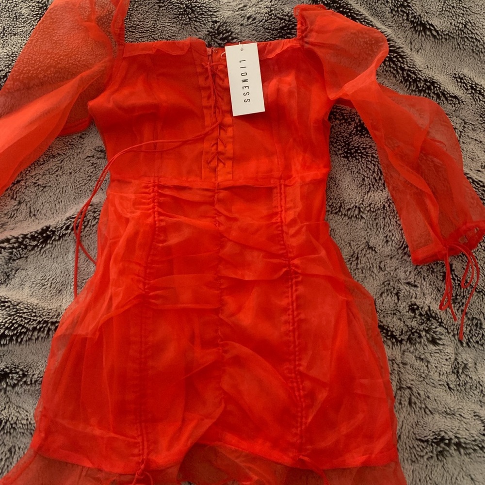 Red dress from lioness.